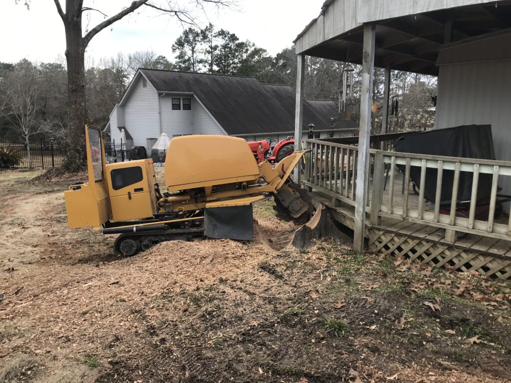 Removing a Stump Near a House