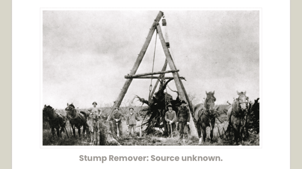 Old Stump Remover Photo