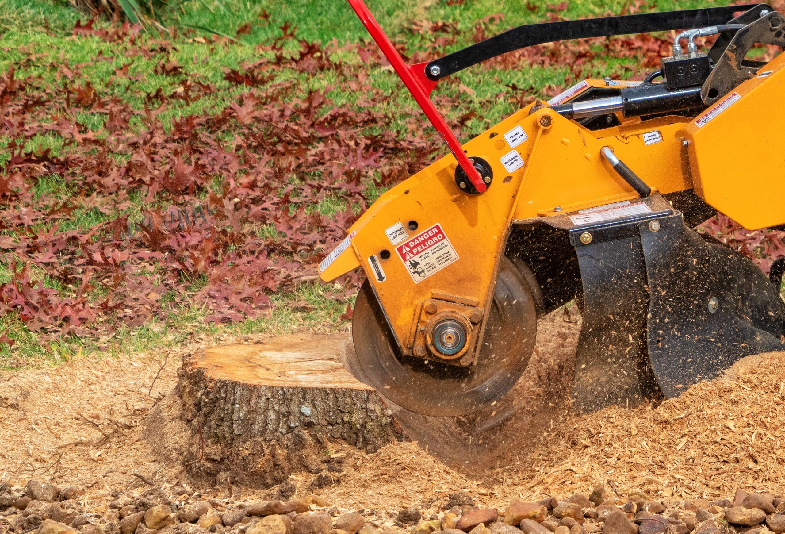Grinding A Tree